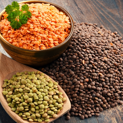 plant-based proteins lentils